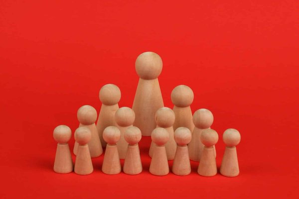 Quel est le principe de la structure fonctionnelle ?